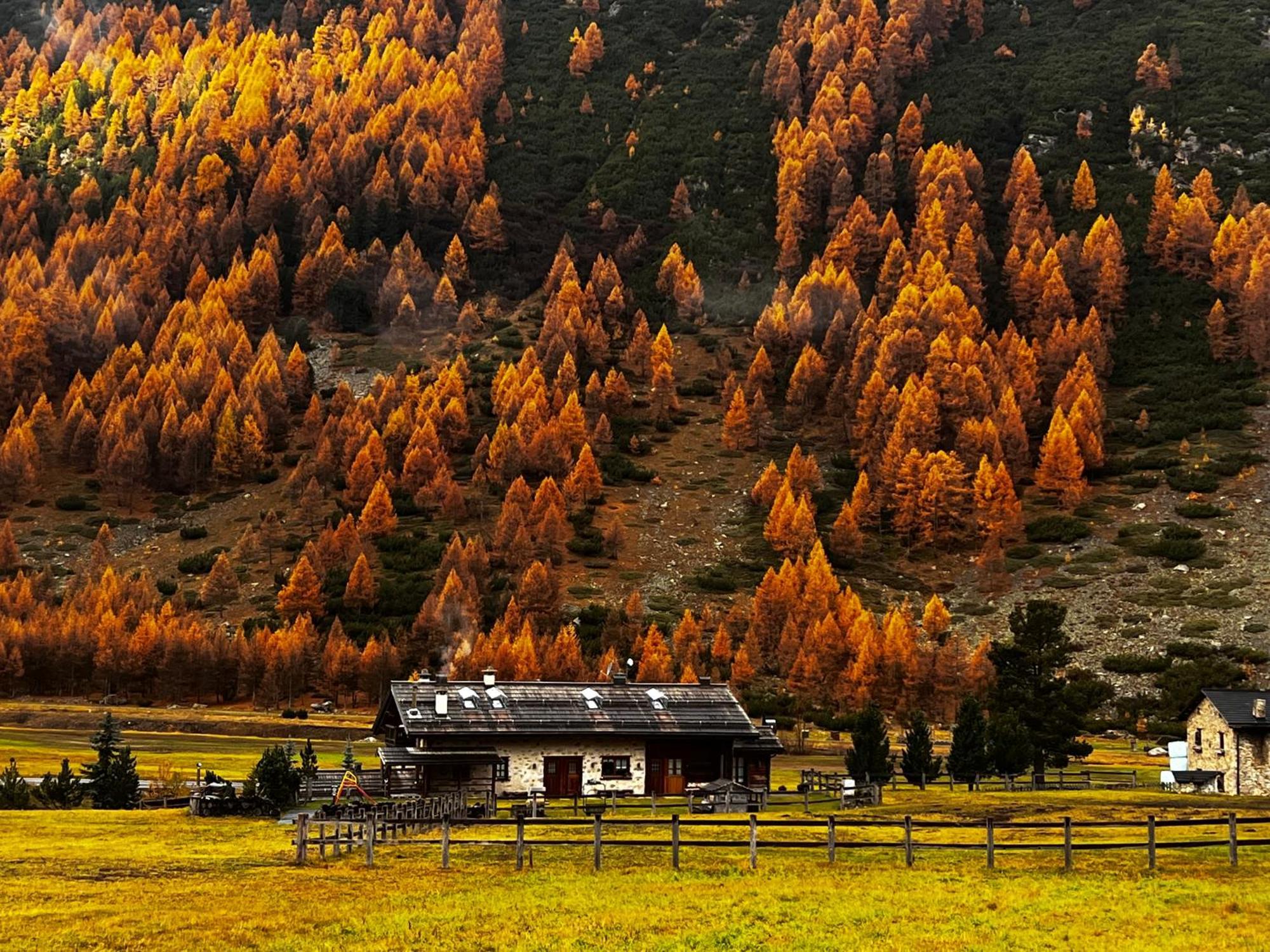 Baita Pomo Livigno Zewnętrze zdjęcie